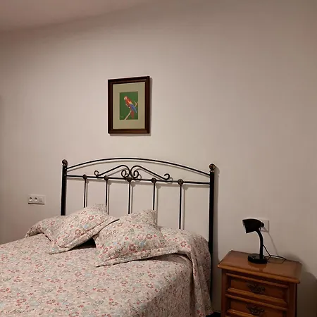 El Arbol Rojo Selaya