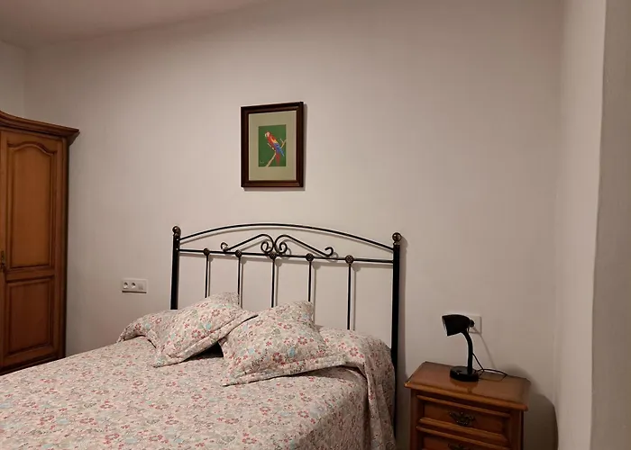 El Arbol Rojo Selaya